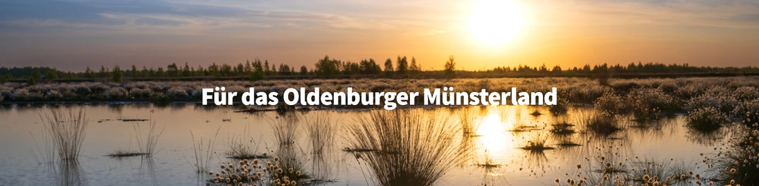 mein.om-online.de - Titelbild | Herzlich Willkommen